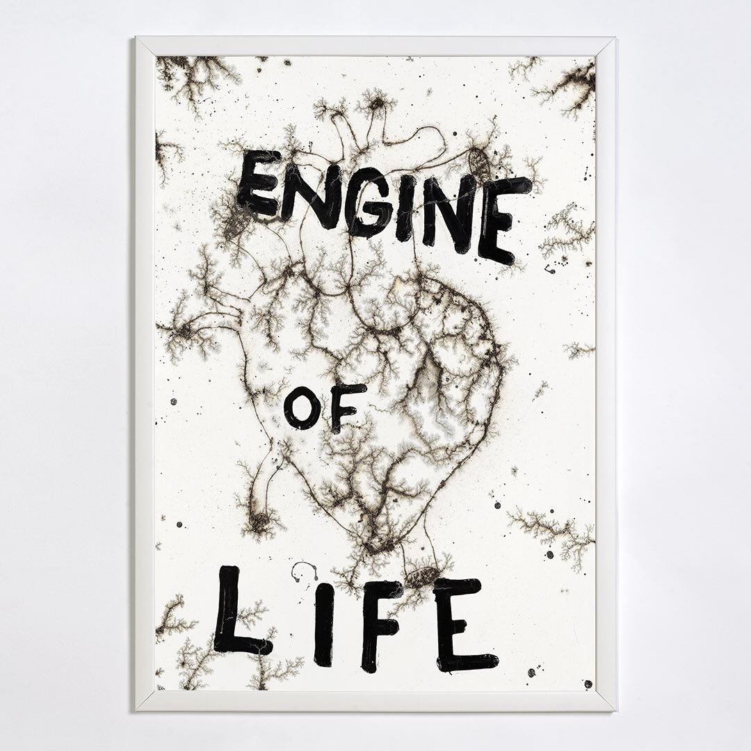 Krištof Kintera | Engine of Life