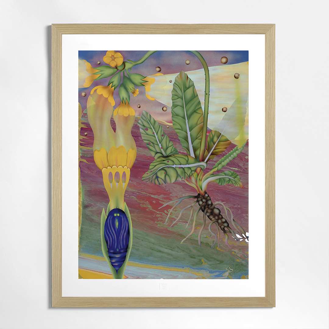 Kristína Bukovčáková | Hiding place (Číslo 1)