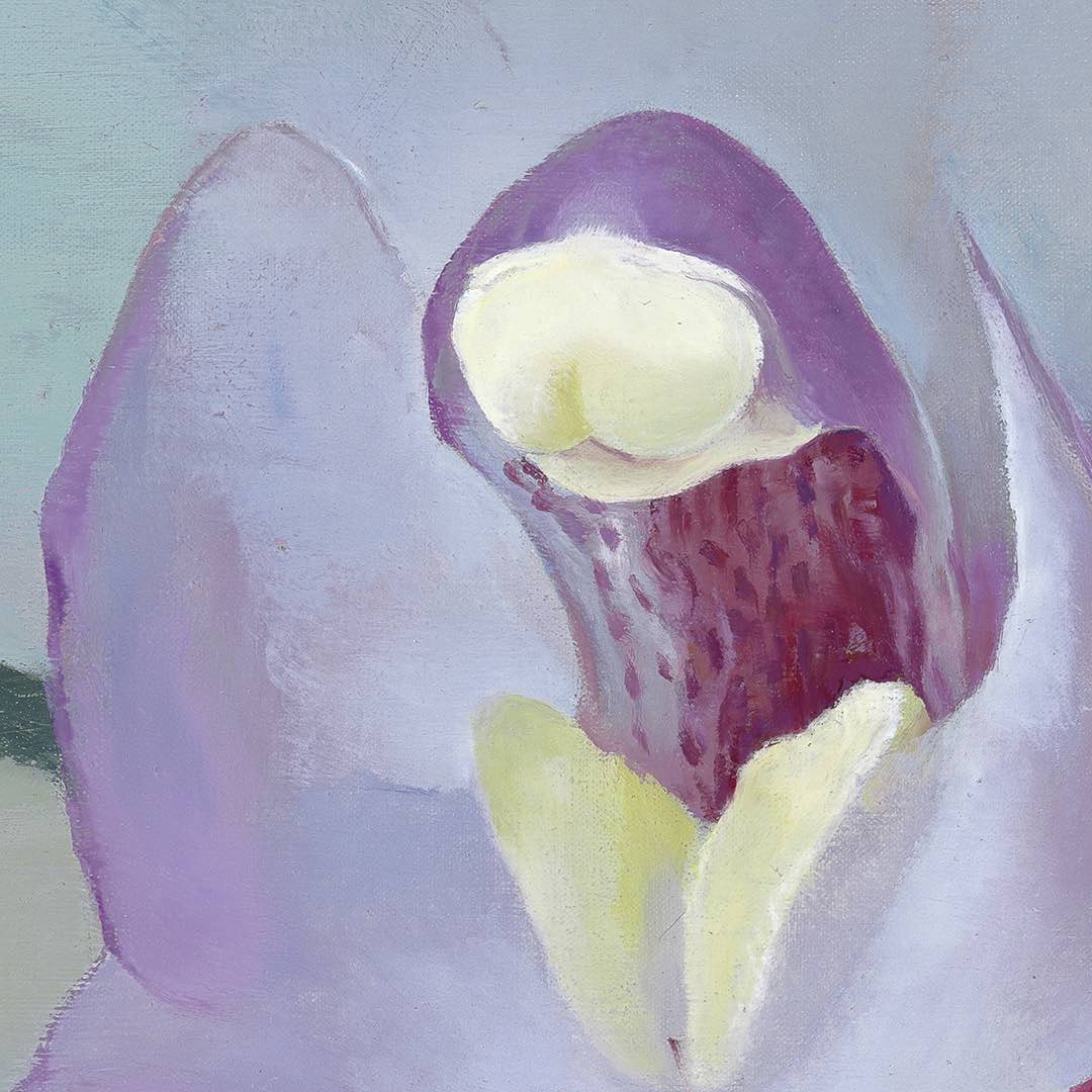 Petr Nikl | Orchidea XIII
