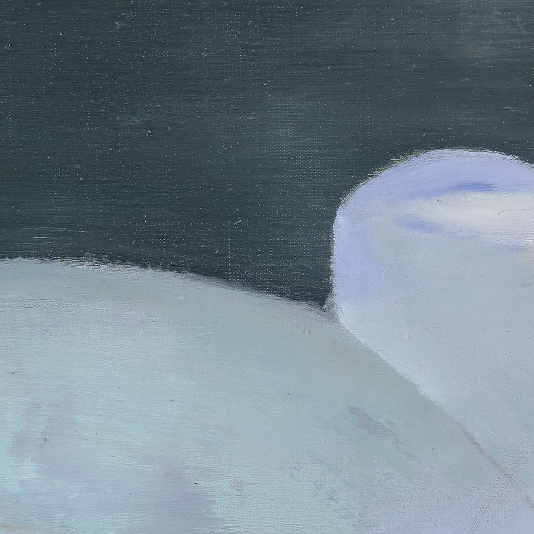 Petr Nikl | Orchidea XIII
