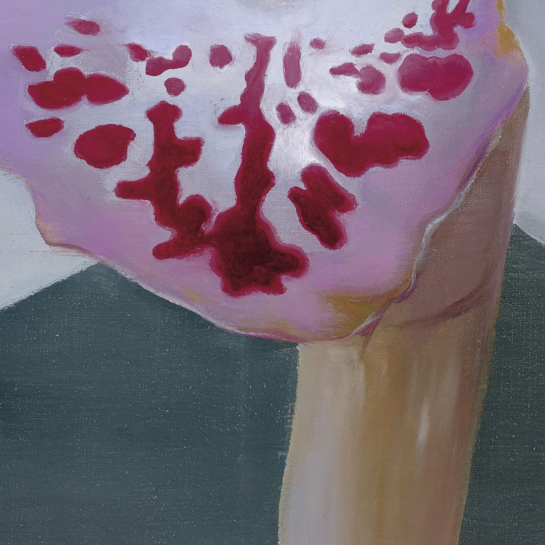Petr Nikl | Orchidea XIII