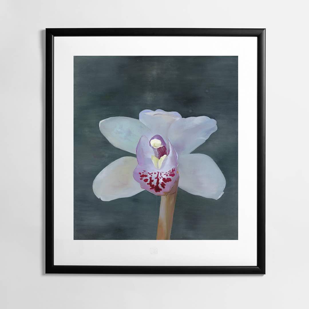 Petr Nikl | Orchidea XIII