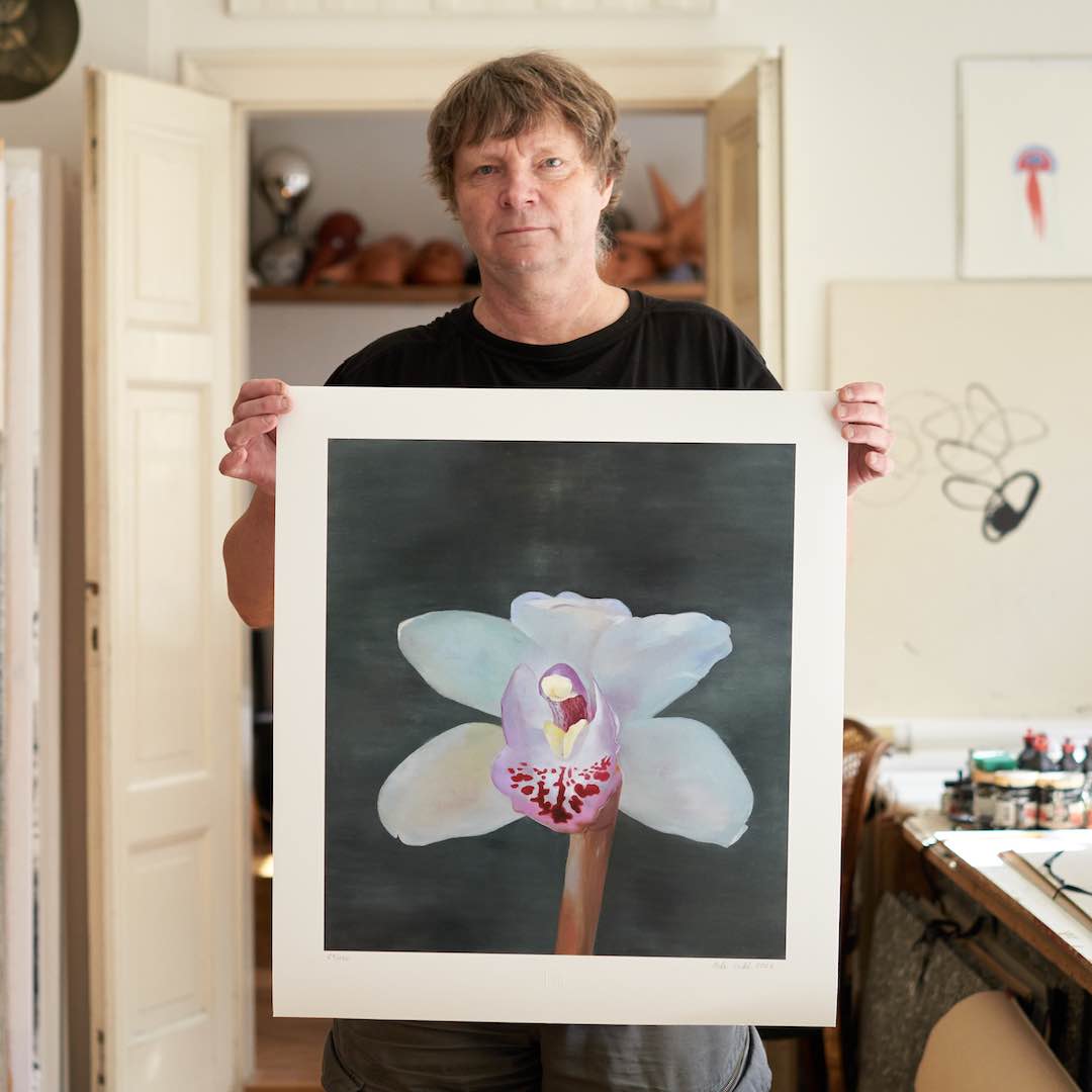 Petr Nikl | Orchidea XIII
