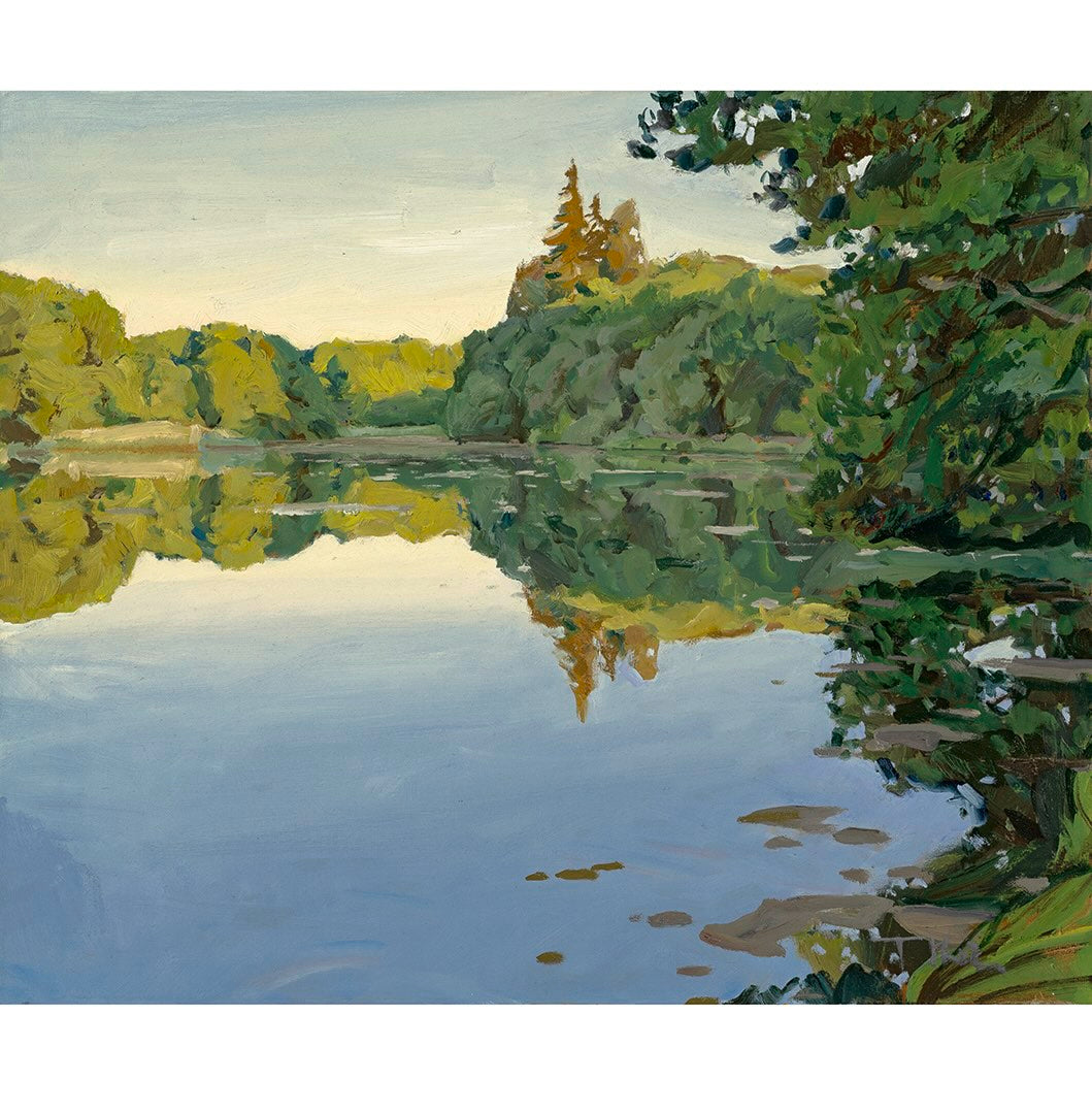 Tomáš Honz | Podvečer nad bahňákem