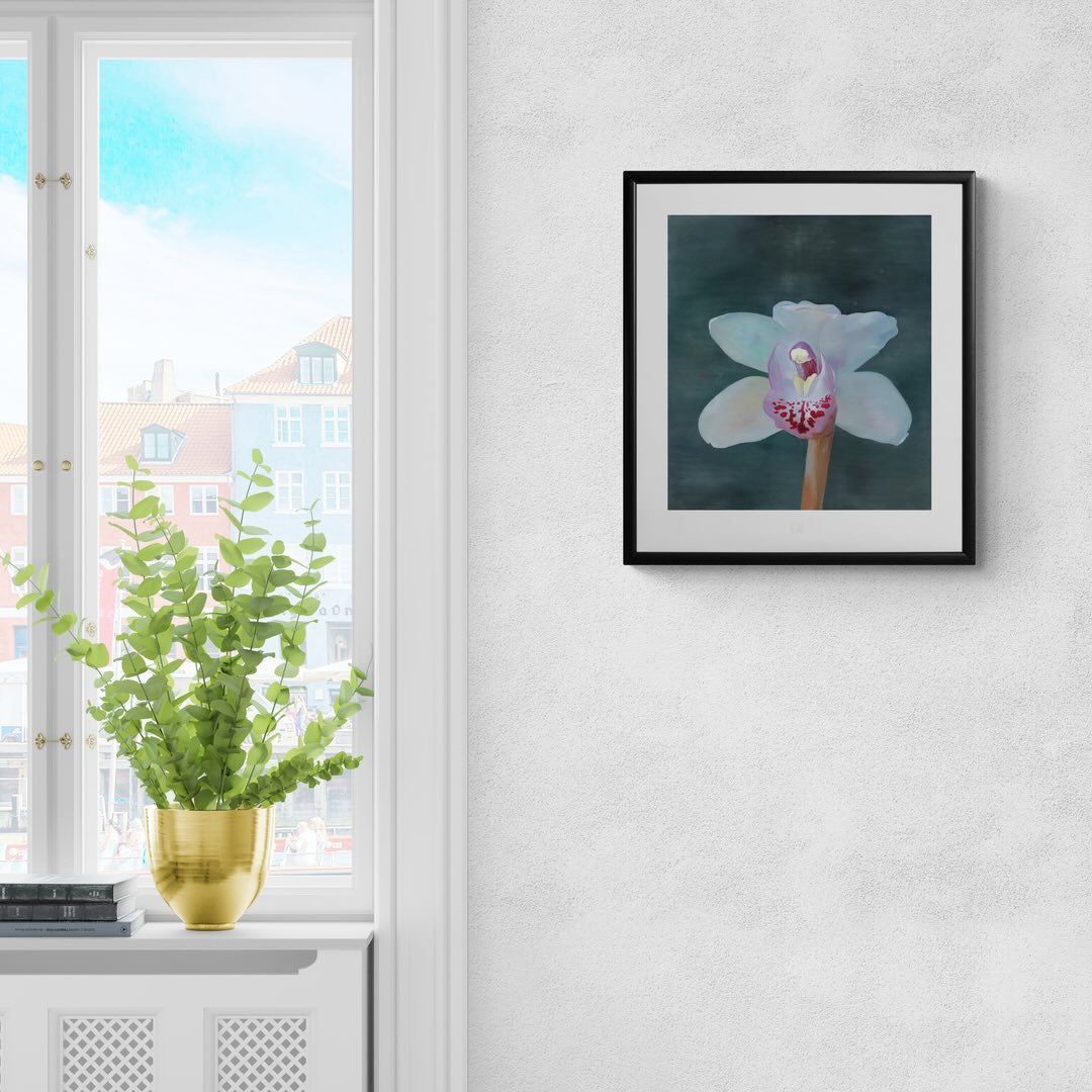 Petr Nikl | Orchidea XIII