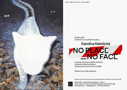 Karolína Netolická / NO PLACE _ NO FACE