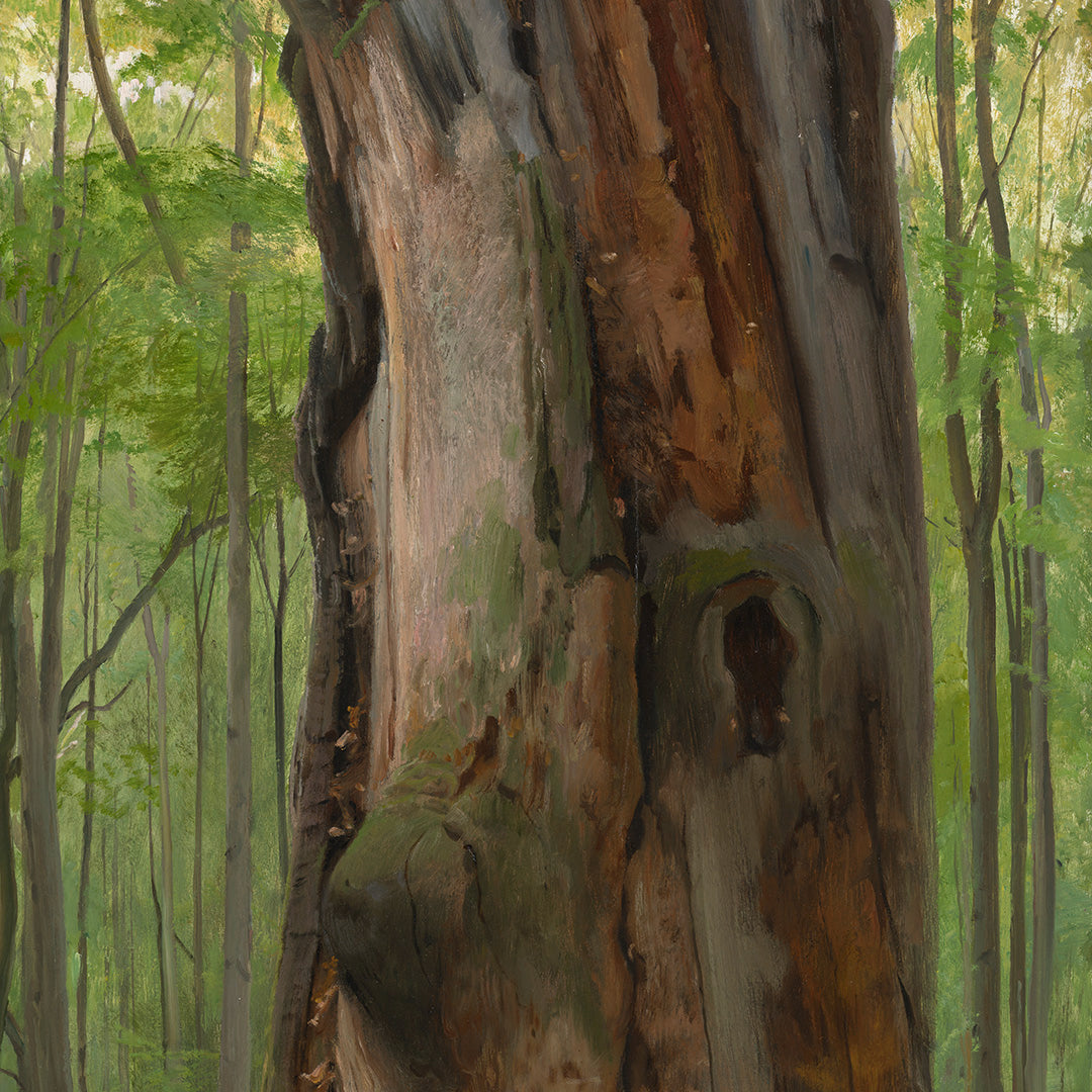 Zdeněk Daněk | Tlustej -  ORIGINÁL