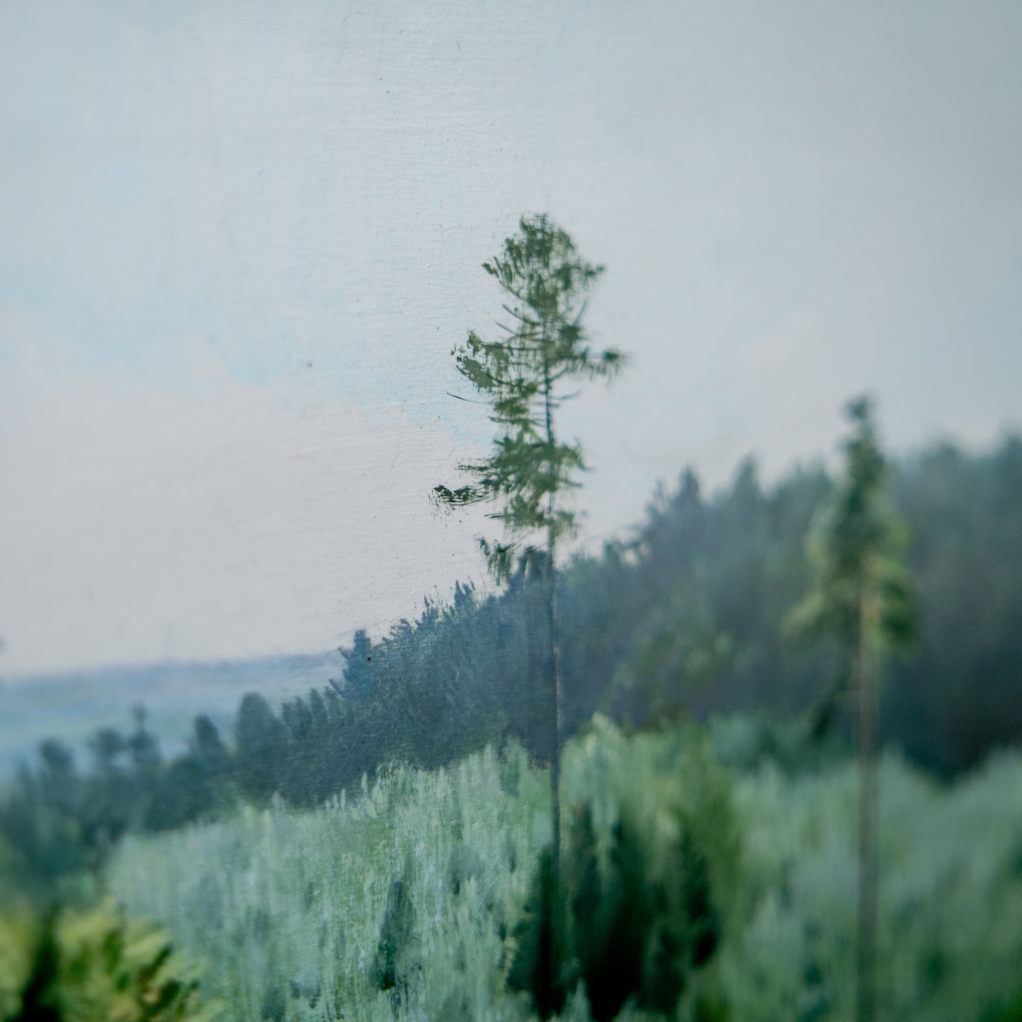 Zdeněk Daněk | Pýchavka - ORIGINÁL