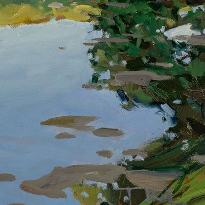 Tomáš Honz | Podvečer nad bahňákem